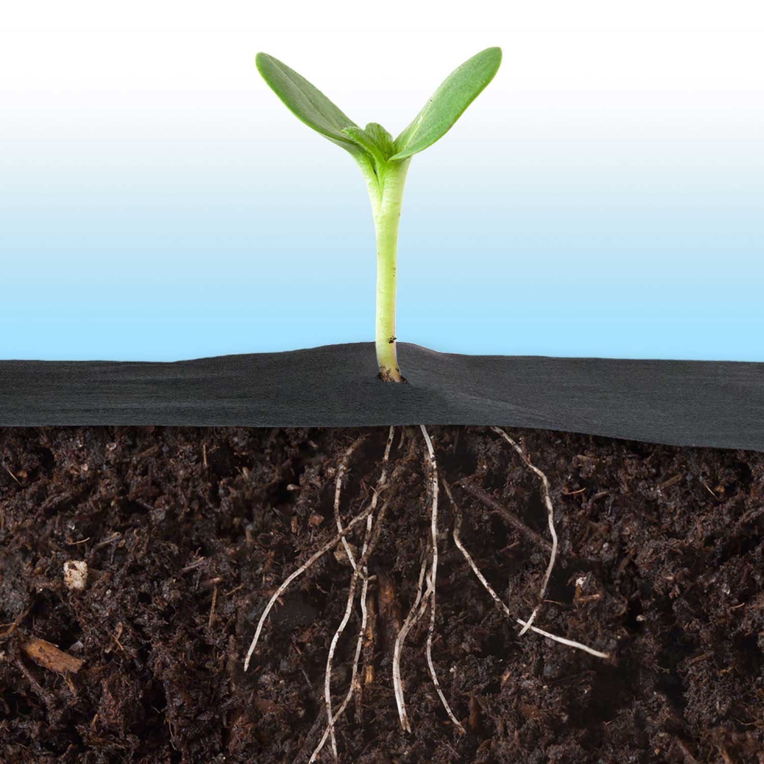 Aiandustekstiil 1 m x 50 m + 50 Plonose tihvti - must - Image 8