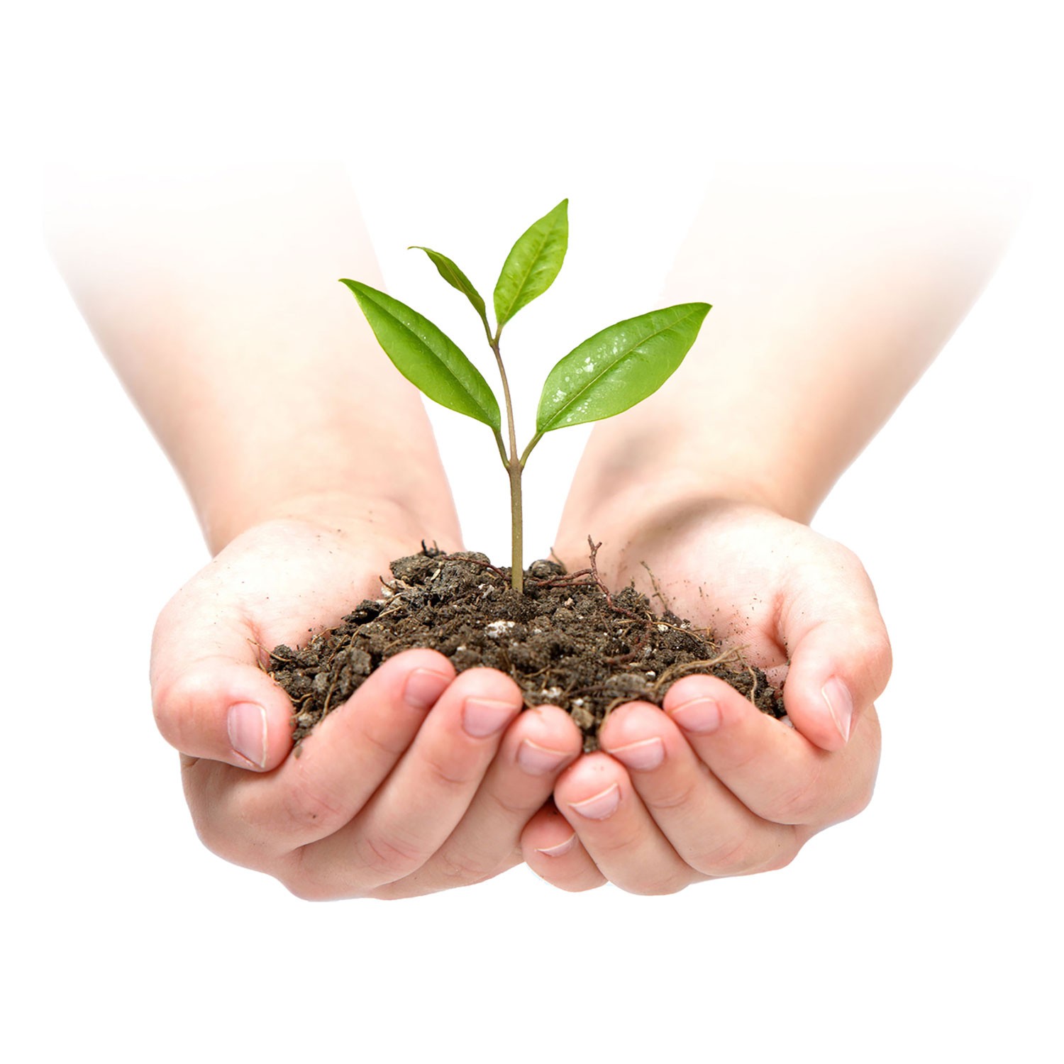 Aiandustekstiil 1 m x 50 m + 50 Plonose tihvti - must - Image 9