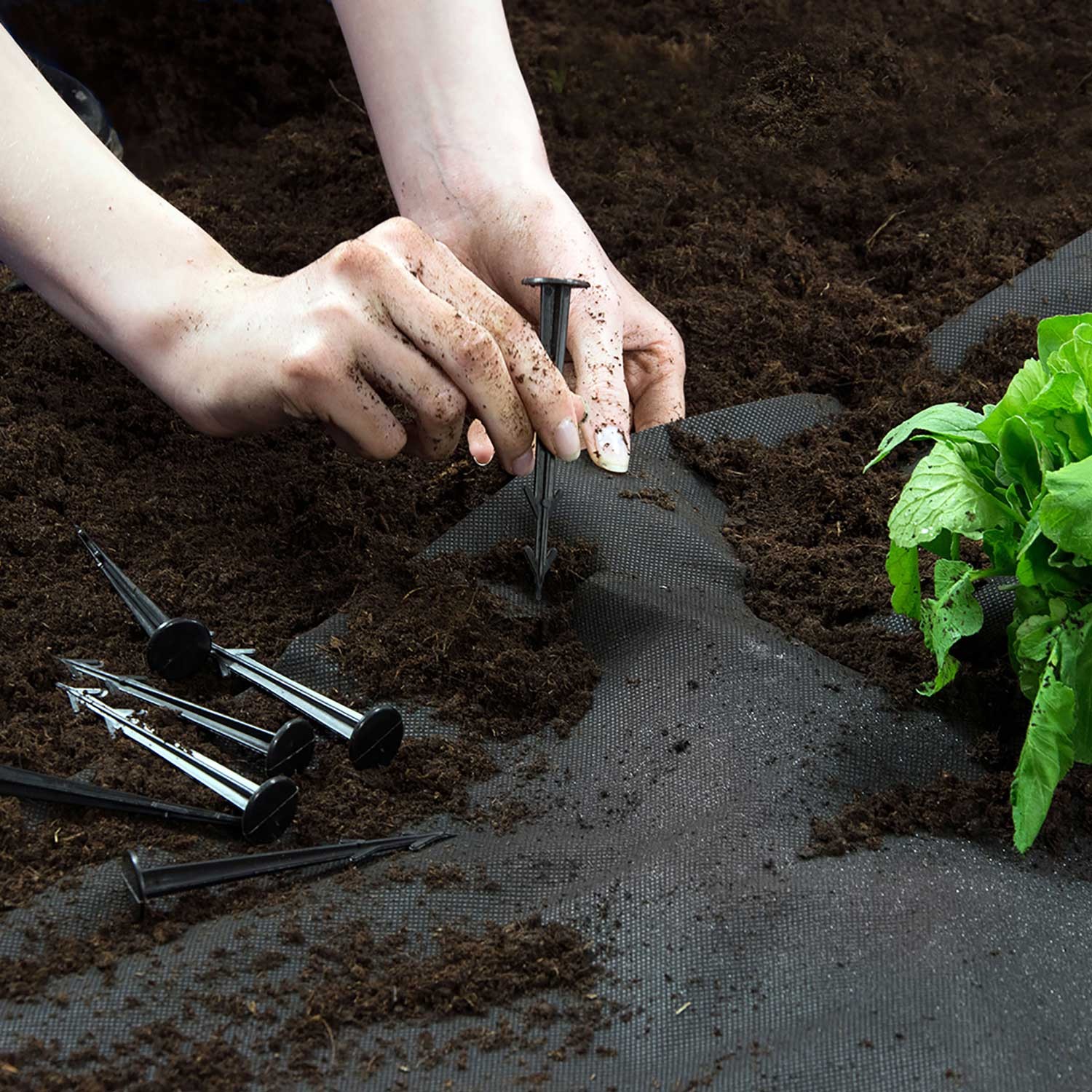 Aiandustekstiil 1 m x 75 m + 50 Plonose tihvti - must - Image 6