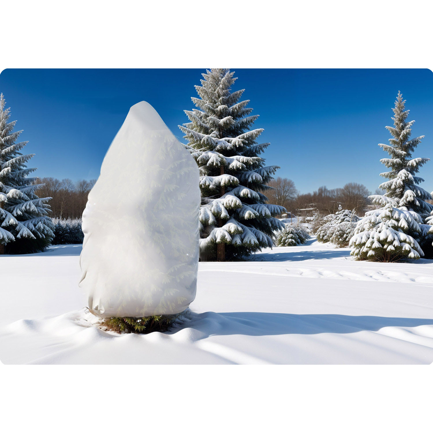 Kattev agrotekstiil 2000 cm x 160 cm Plonos - valge - Image 8