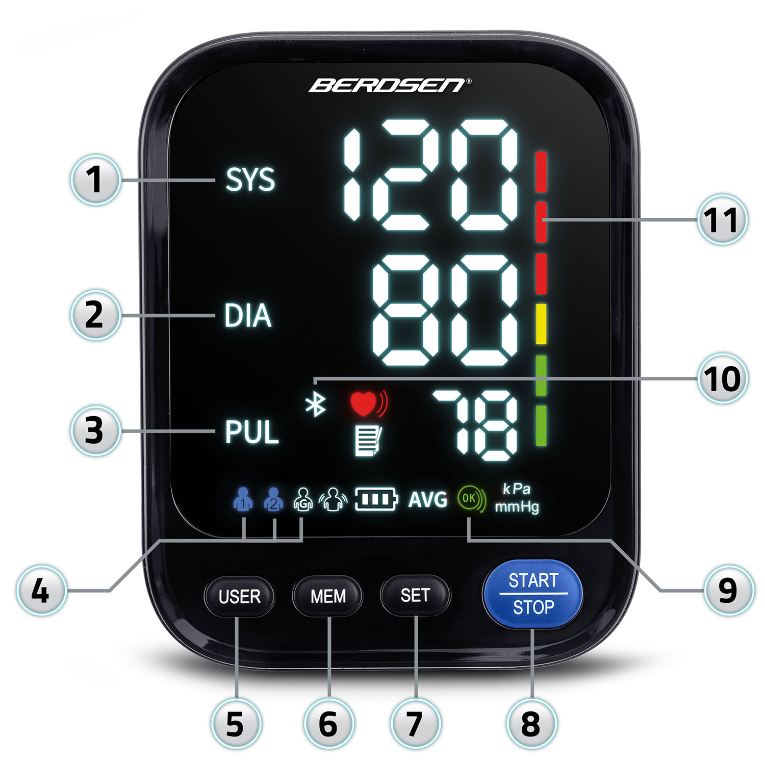 Berdsen BD-123 õlavarre vererõhuaparaat Poola tekstide ja Bluetoothiga - Image 4