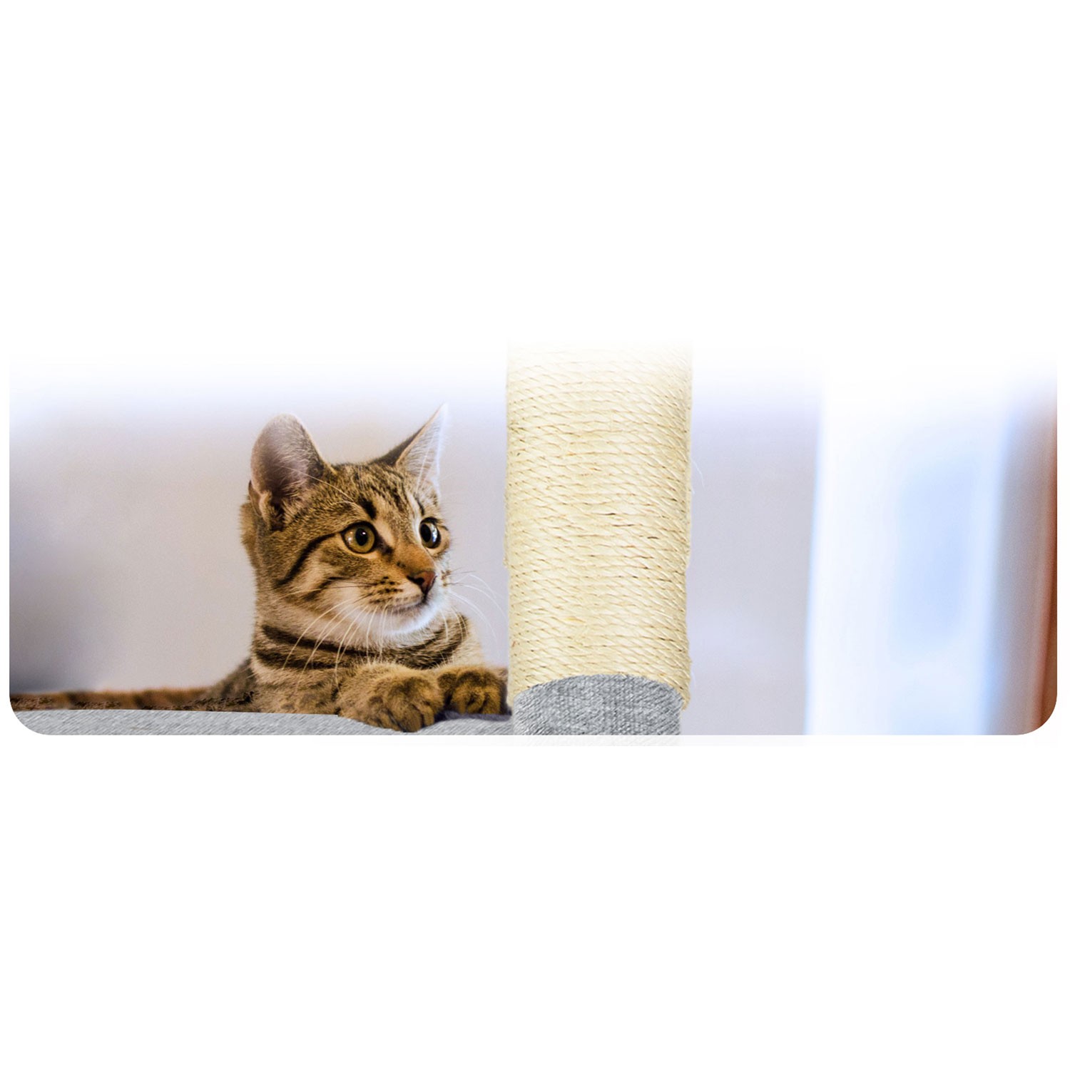 Kassi kraapimispost 111 cm PH-005 Pethaus hall - Image 9