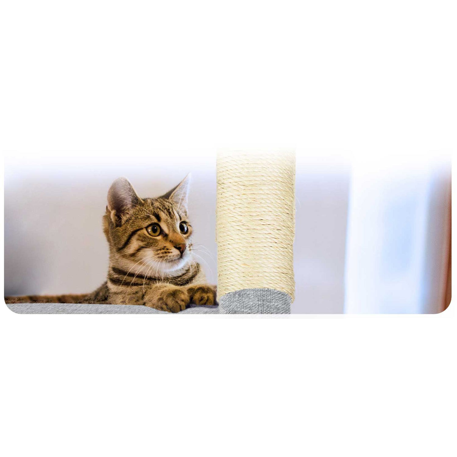 Kassi kraapimispost 79 cm PH-003 Pethaus hall - Image 9