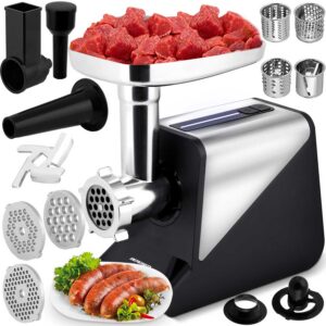 Hakklihamasin BD-602 Berdsen 800/2000W