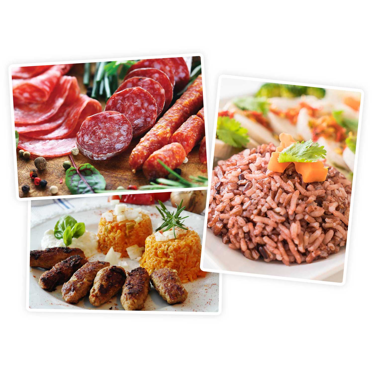 Hakklihamasin BD-601A Berdsen 450/1200W - Image 10