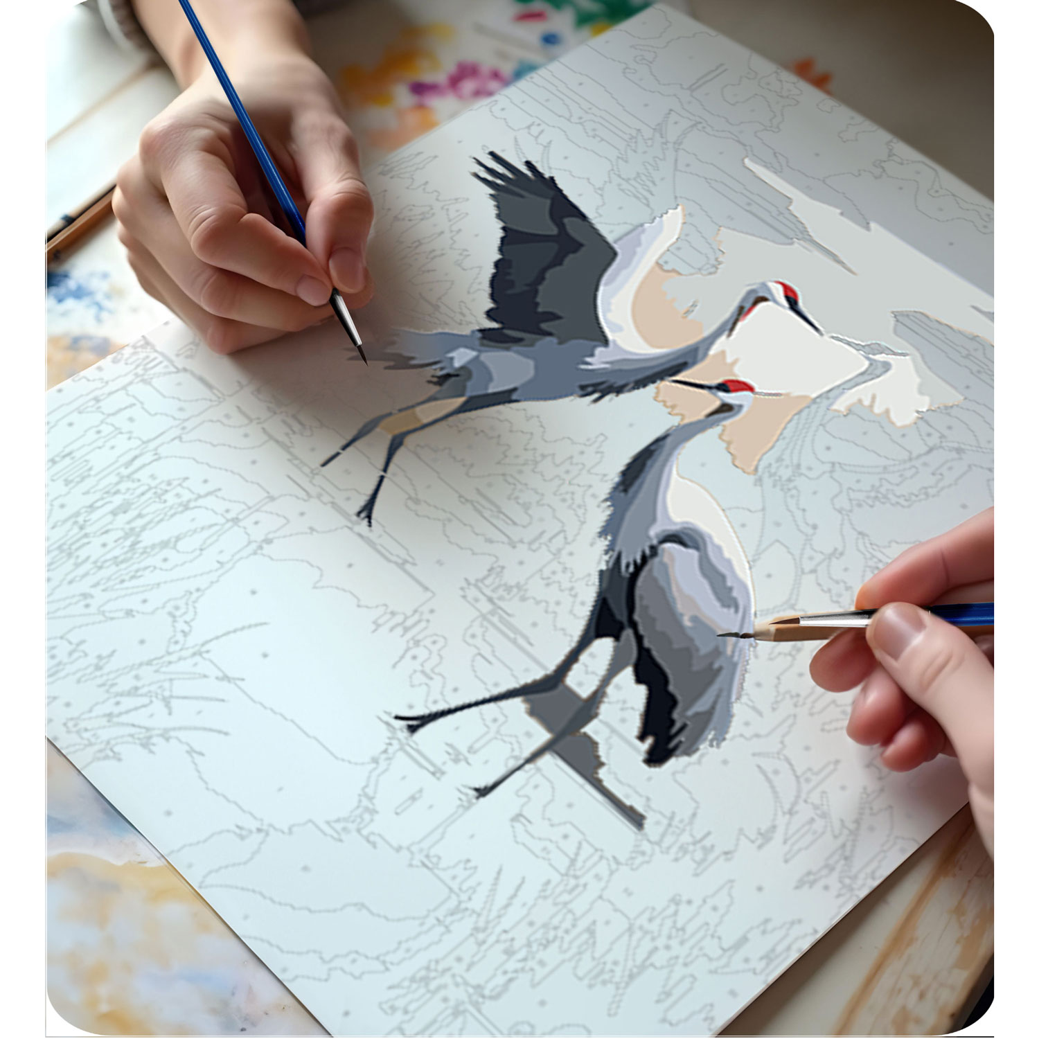 Maalitav pilt numbri järgi 40x50 cm Massido Cranes - Image 6