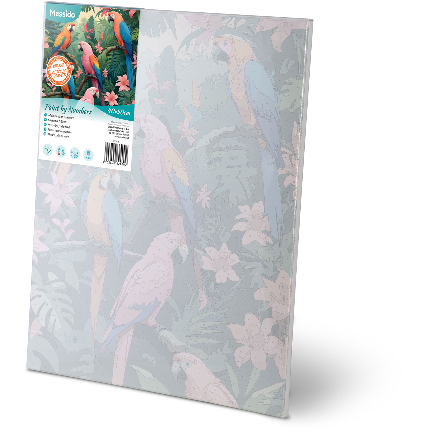 Maalitav pilt numbrite järgi 40x50 cm Massido Papugi - Image 3