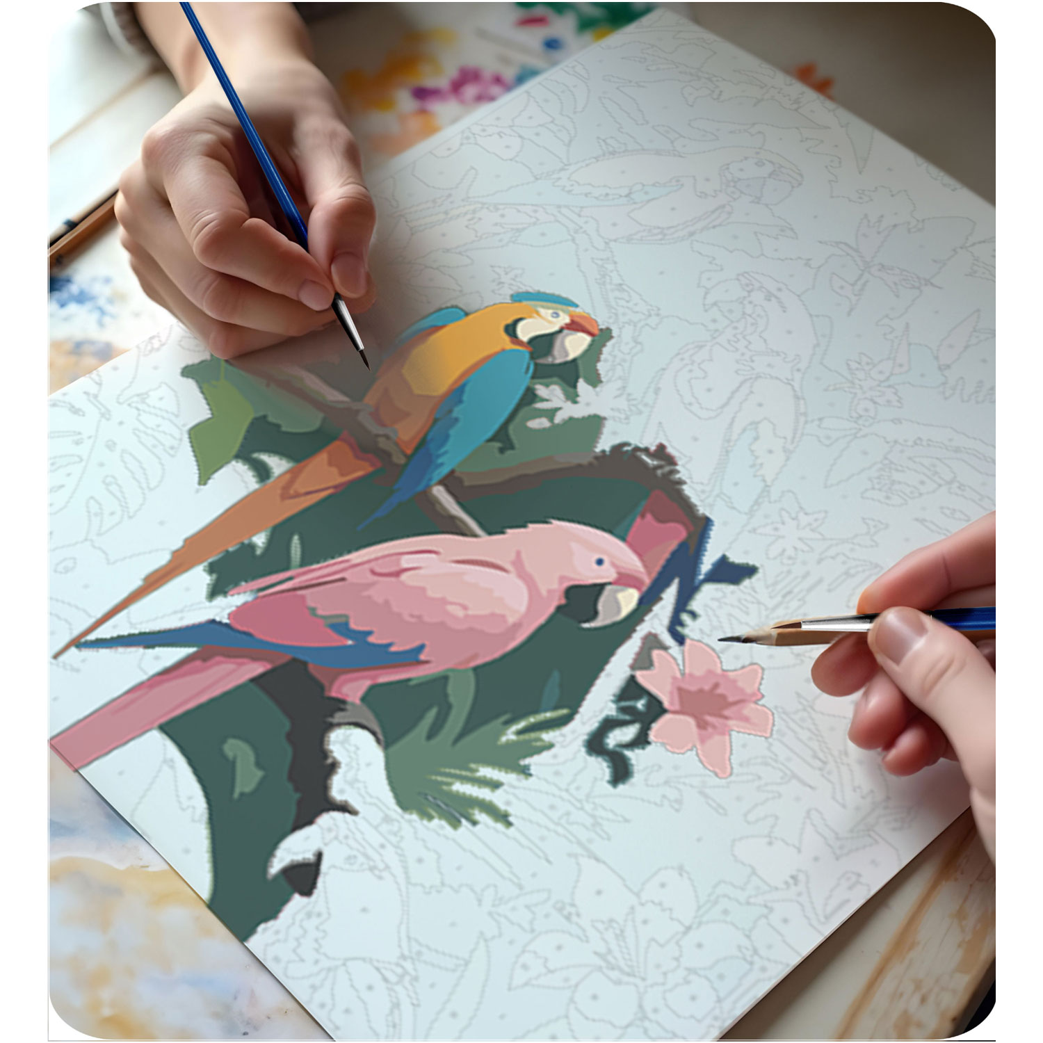 Maalitav pilt numbrite järgi 40x50 cm Massido Papugi - Image 6