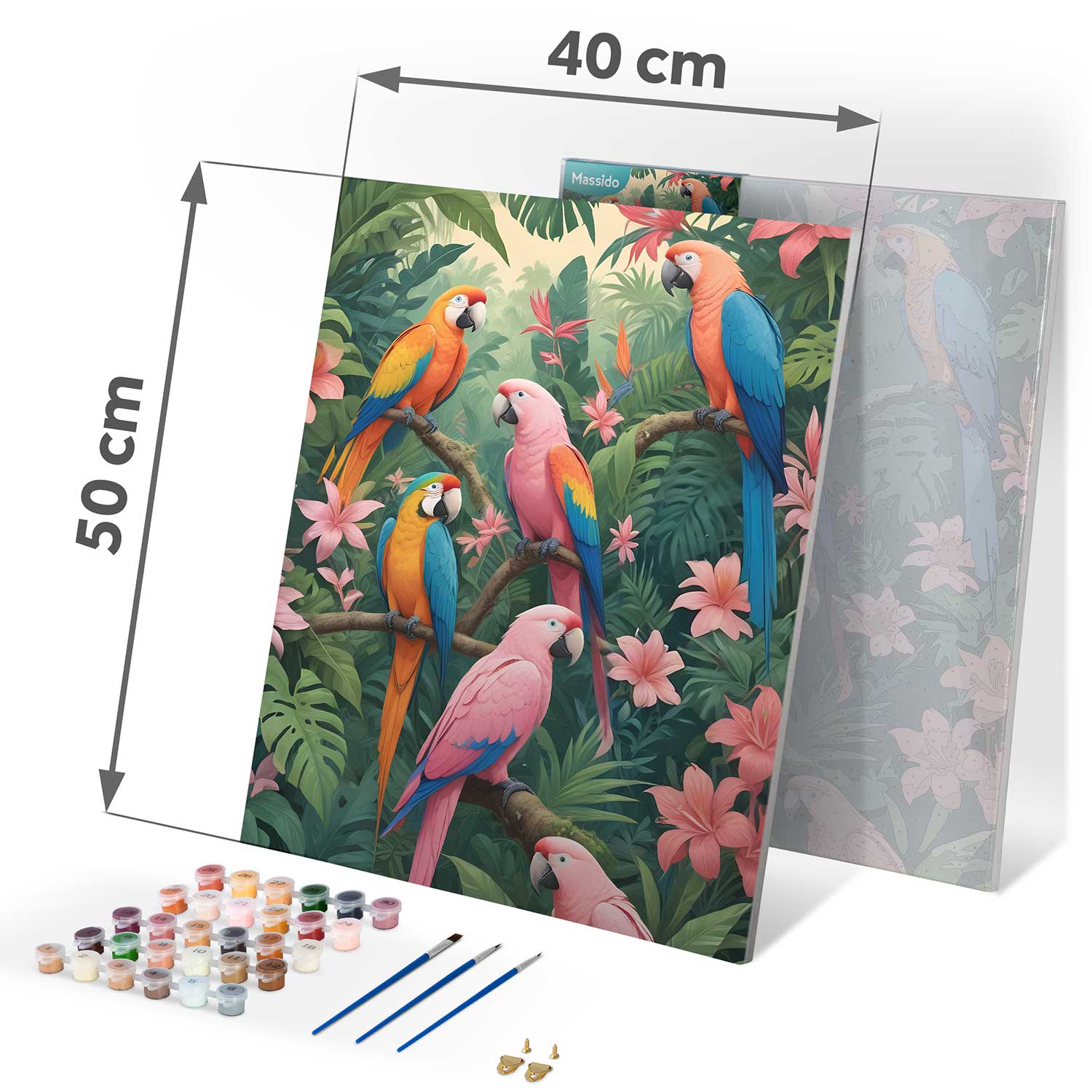 Maalitav pilt numbrite järgi 40x50 cm Massido Papugi - Image 4