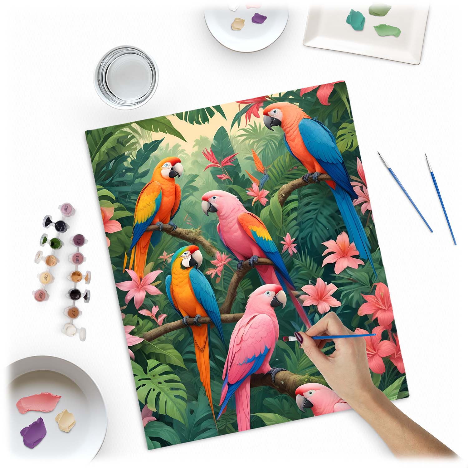 Maalitav pilt numbrite järgi 40x50 cm Massido Papugi - Image 2