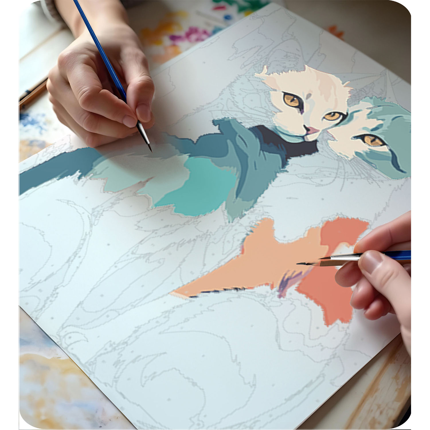 Maalitav pilt numbrite järgi 40x50 cm Massido kassid - Image 6