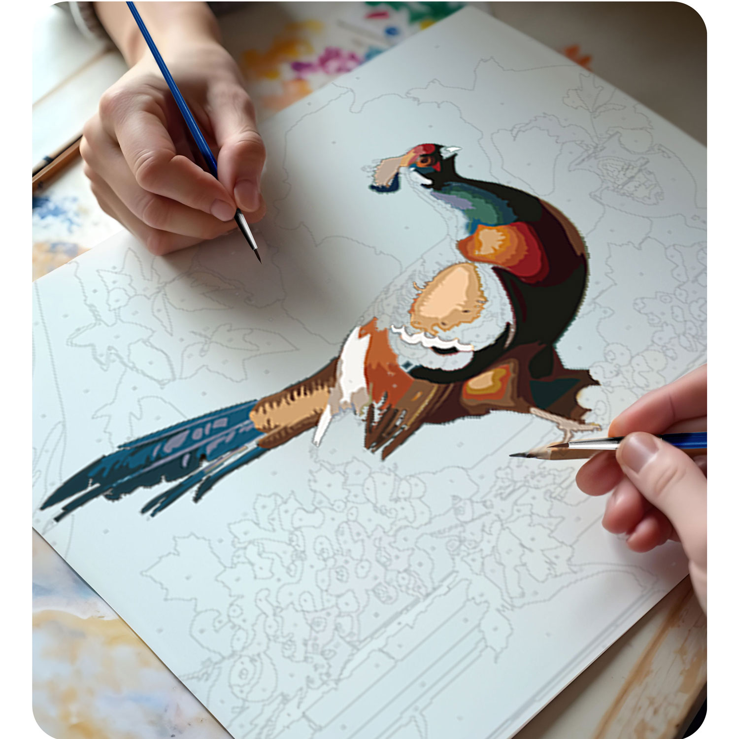 Maalitav pilt numbri järgi 40x50 cm Massido faasan - Image 5