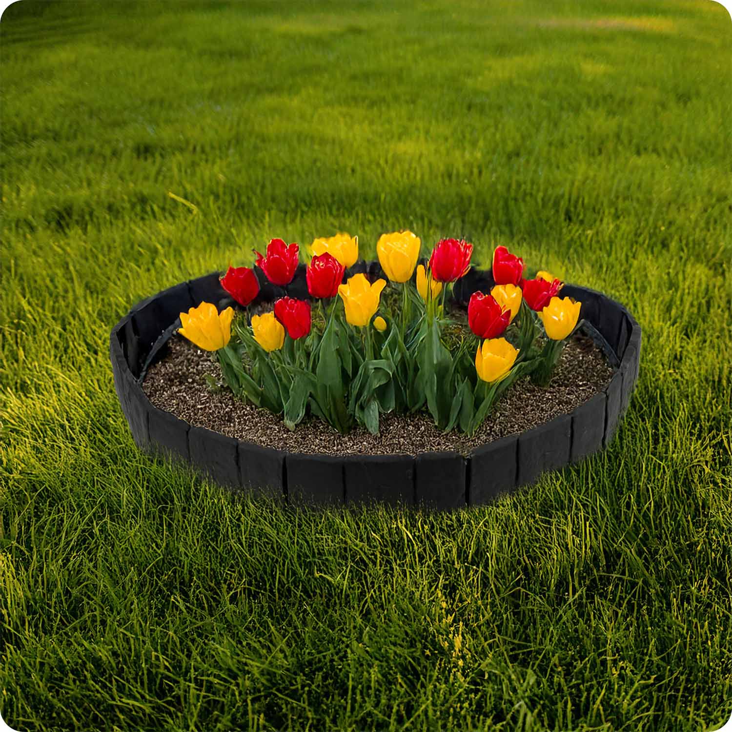 Plonos aiaserv 250 cm PL-962 antratsiithall - Image 7