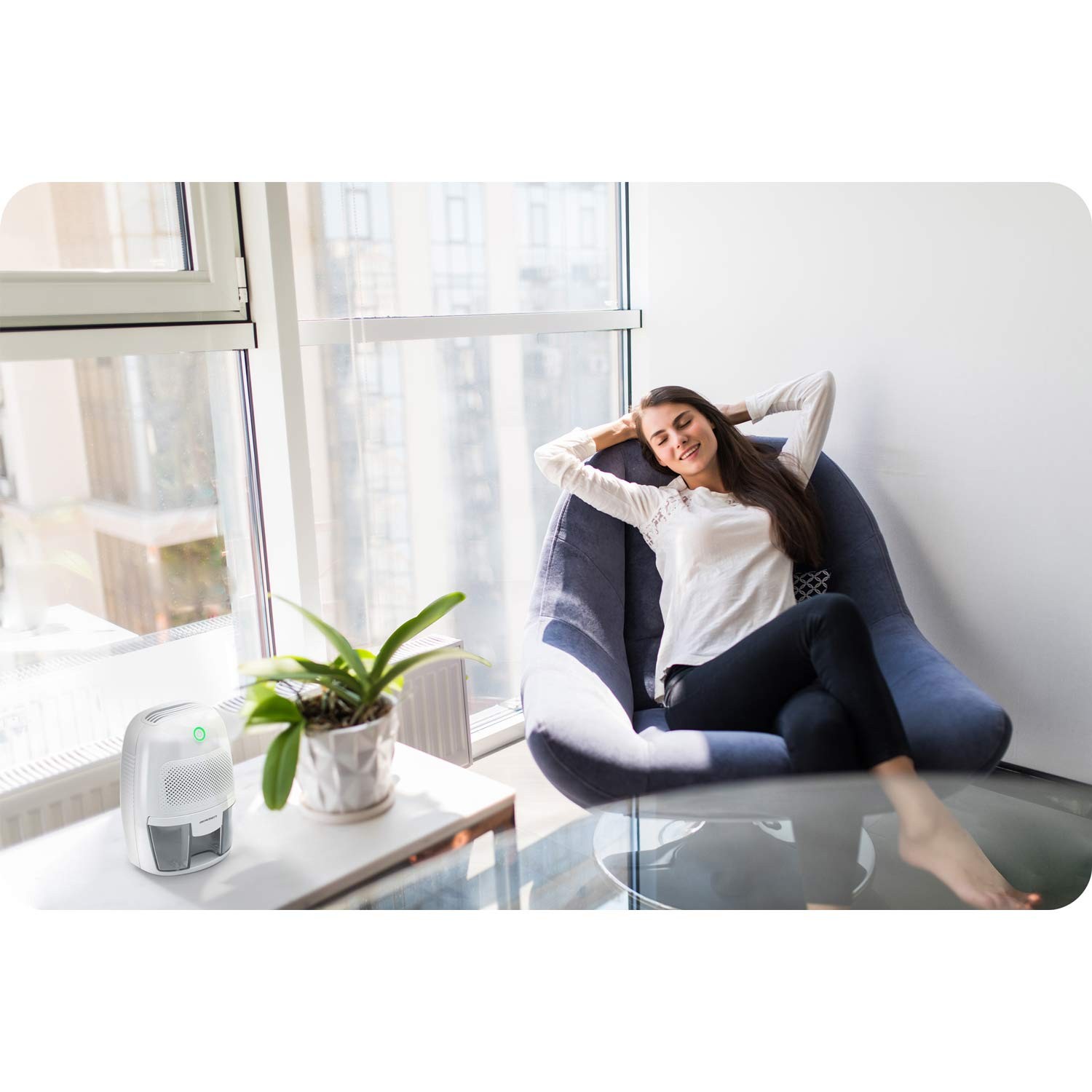 Berdsen BR-50B valge õhu õhukuivati - niiskuse imaja autoadapteriga - Image 5