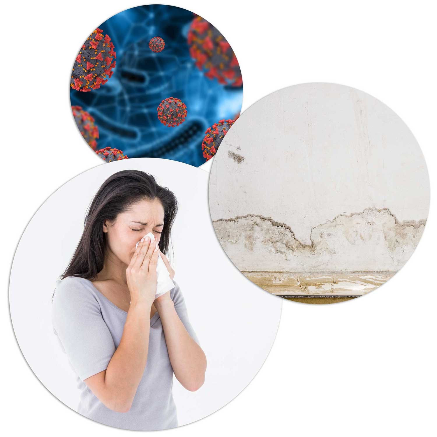 Berdsen BR-75B valge õhu õhukuivati - niiskuse imaja - Image 11