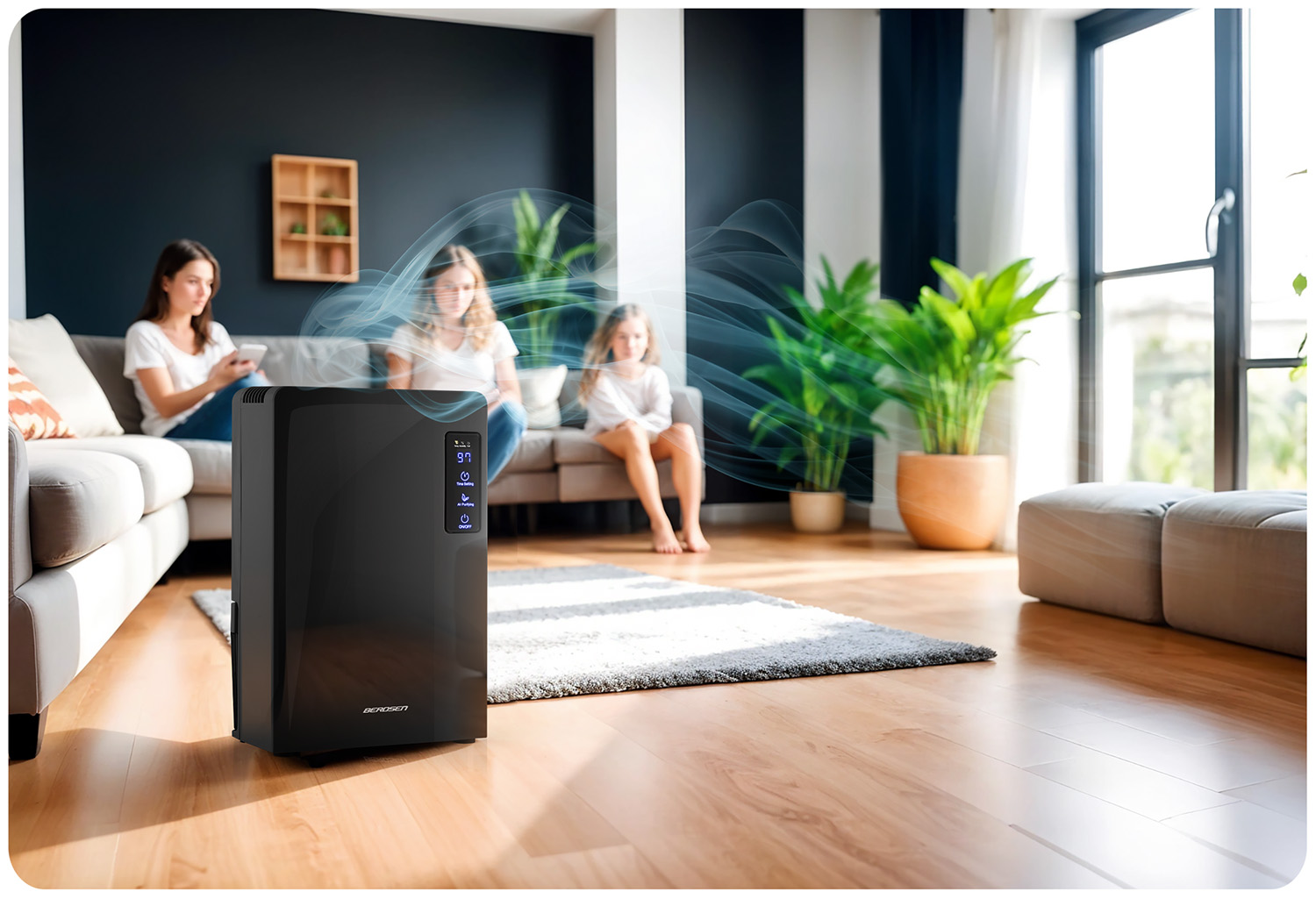 Berdsen BR-22A must õhukuivati - niiskuse imaja - Image 10