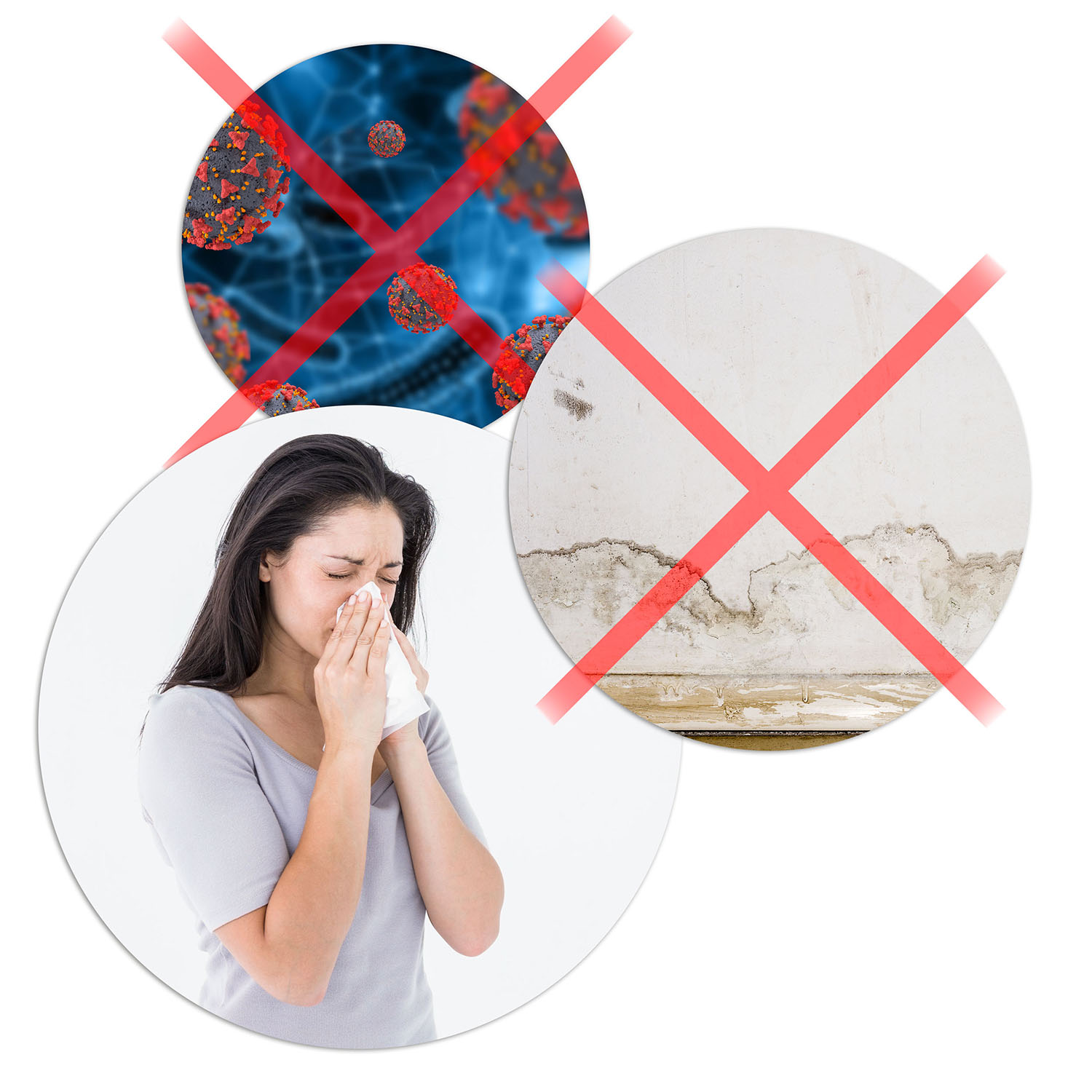 Berdsen BR-10B tumesinine õhukuivati - niiskuse imaja - Image 15