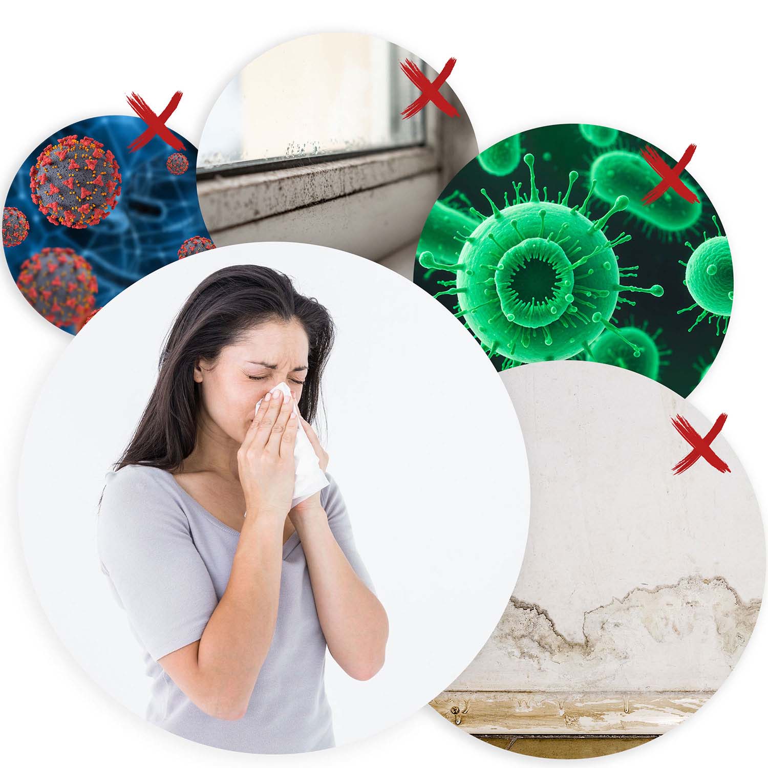 Berdsen BD-529 õhukuivati - niiskuse imaja - Image 5