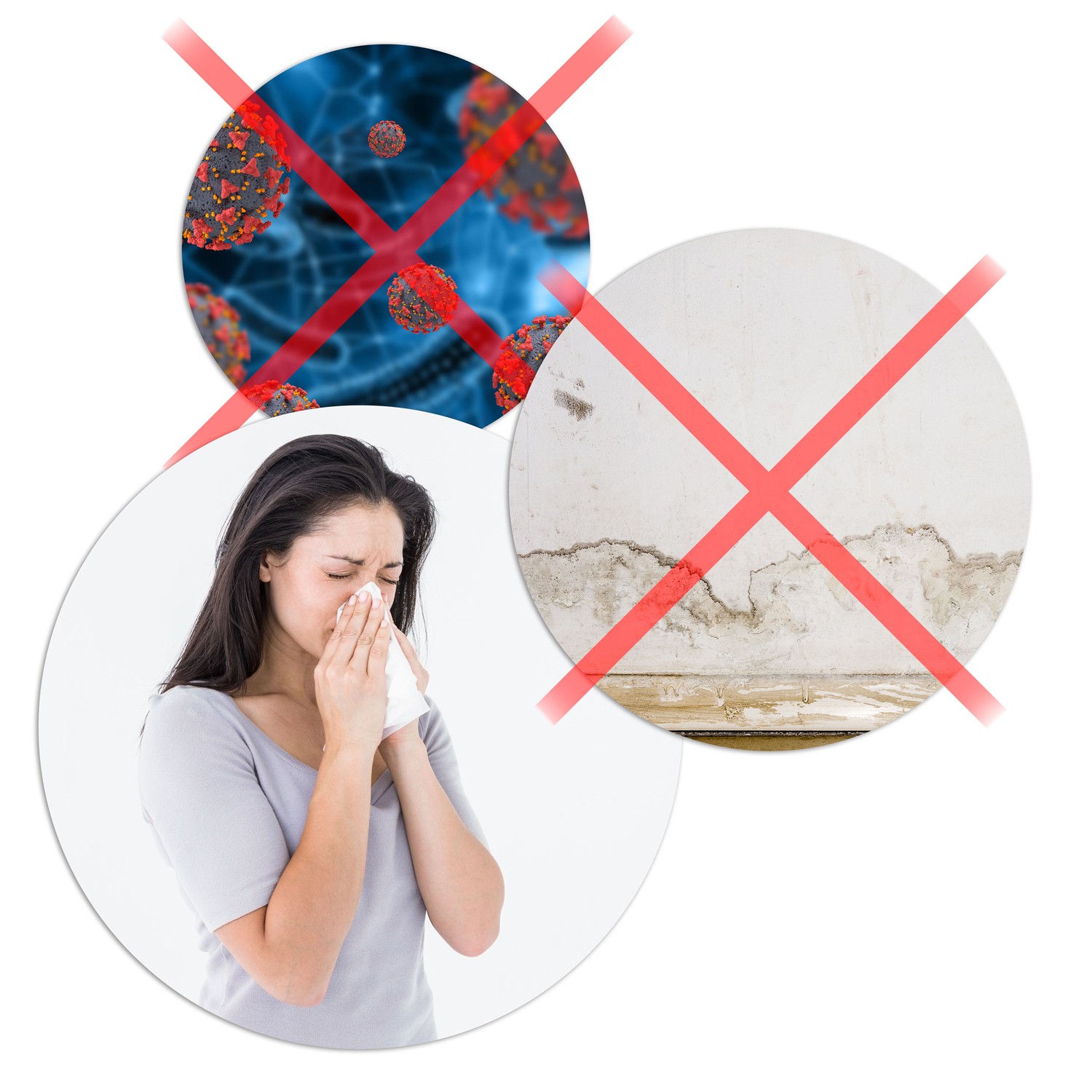 Berdsen BR-20D must õhukuivati - niiskuse imaja - Image 15