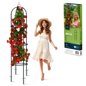 Aia pergola sammas 200 cm Plonos PL-992