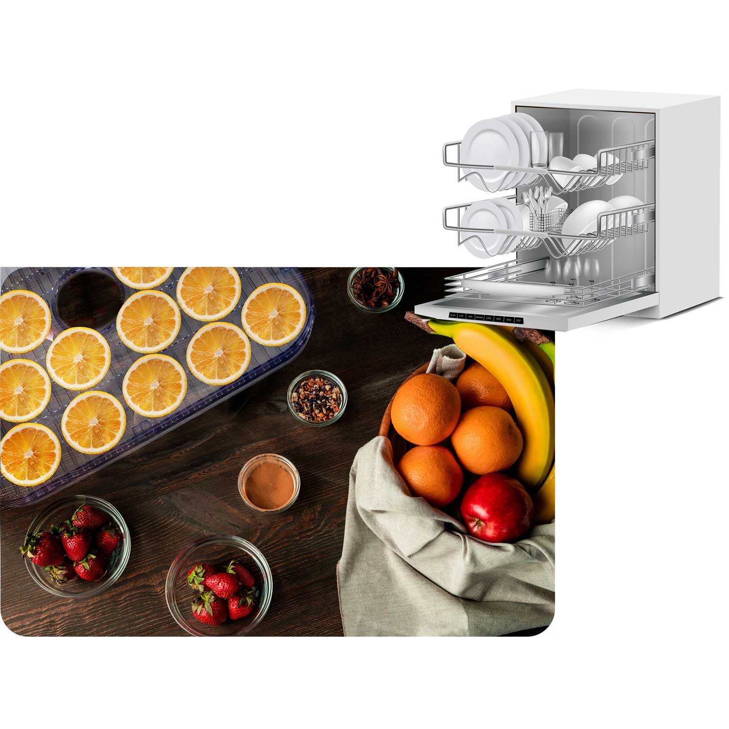 Berdsen BD-692 toidukuivati must - Image 13