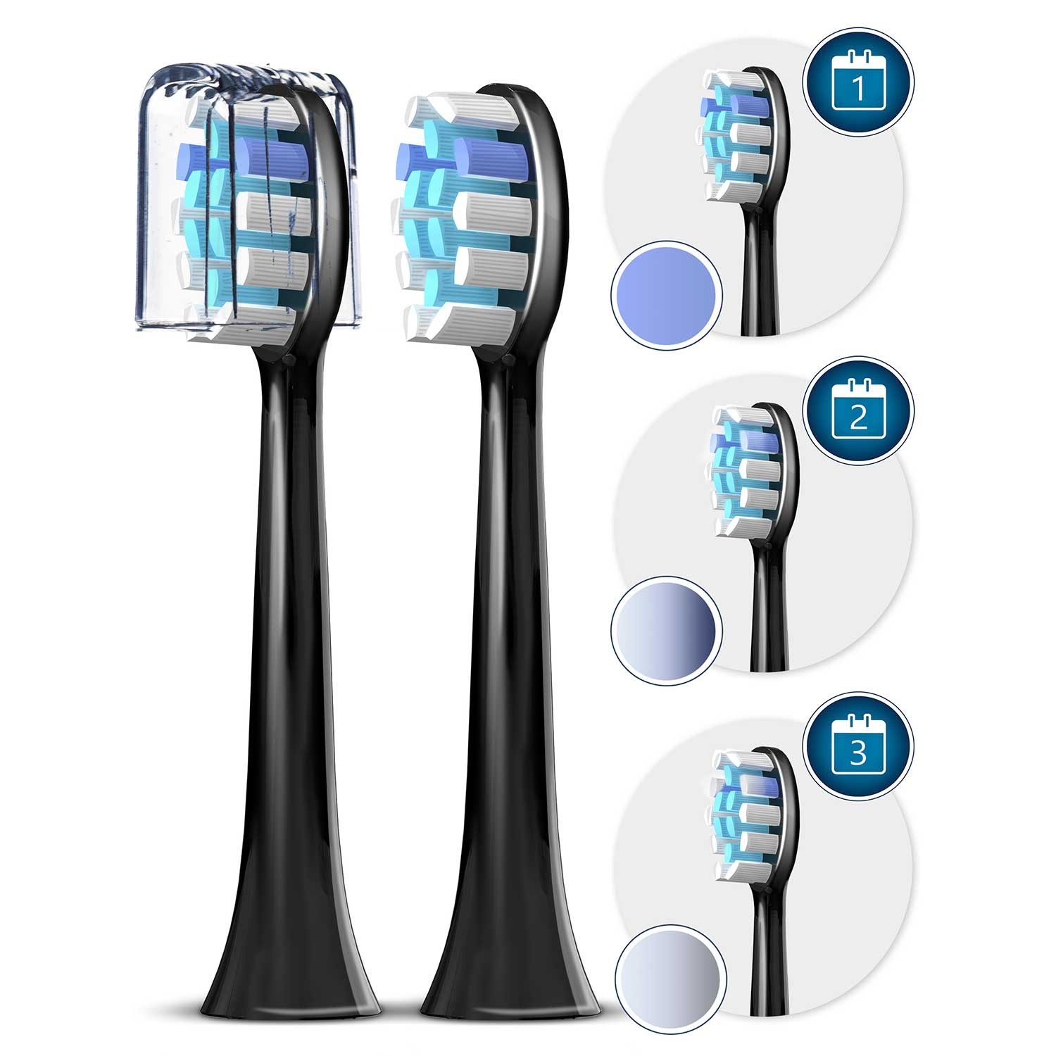 Sonica B5 must Sonic-hambahari - Image 9