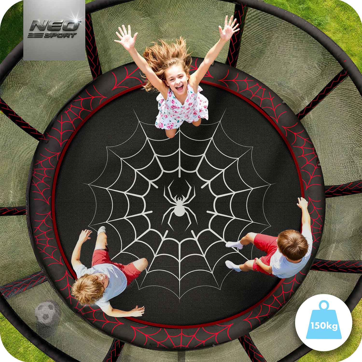 10 jala / 312 cm aiabatuut õuevõrgu ja redeliga Neo-Sport - Image 2