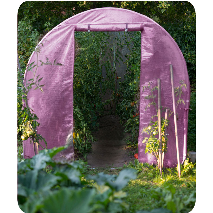 Aiatunnel 2 x 3 m (6 m2) roosa Plonos - Image 11