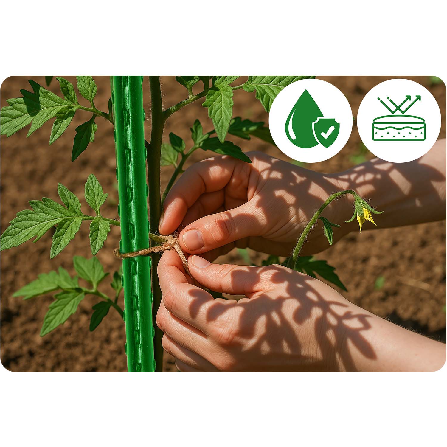 Lillepulgad 120 cm Plonos PL-940 rohelised 10 tk - Image 4