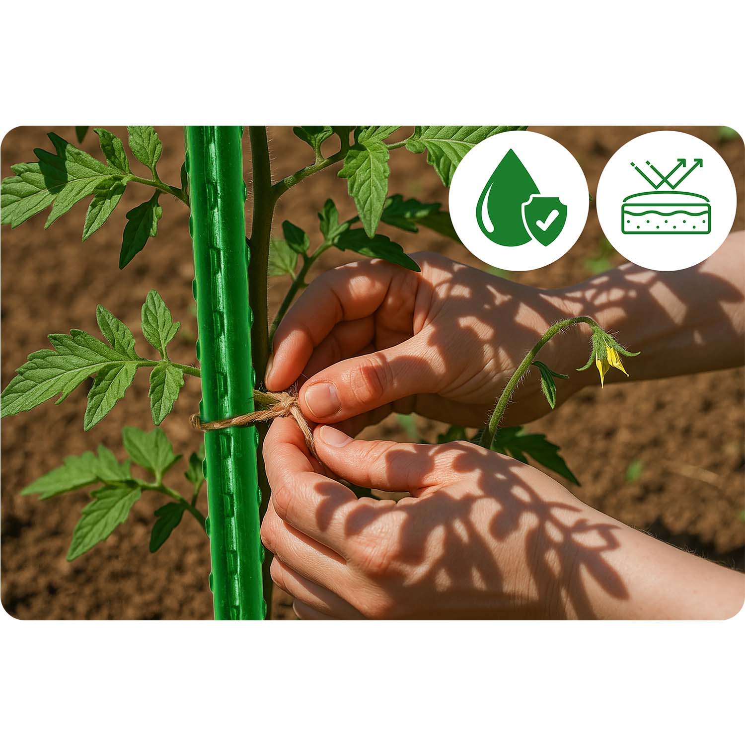 Lillepulgad 150 cm Plonos PL-940 rohelised 10 tk - Image 4