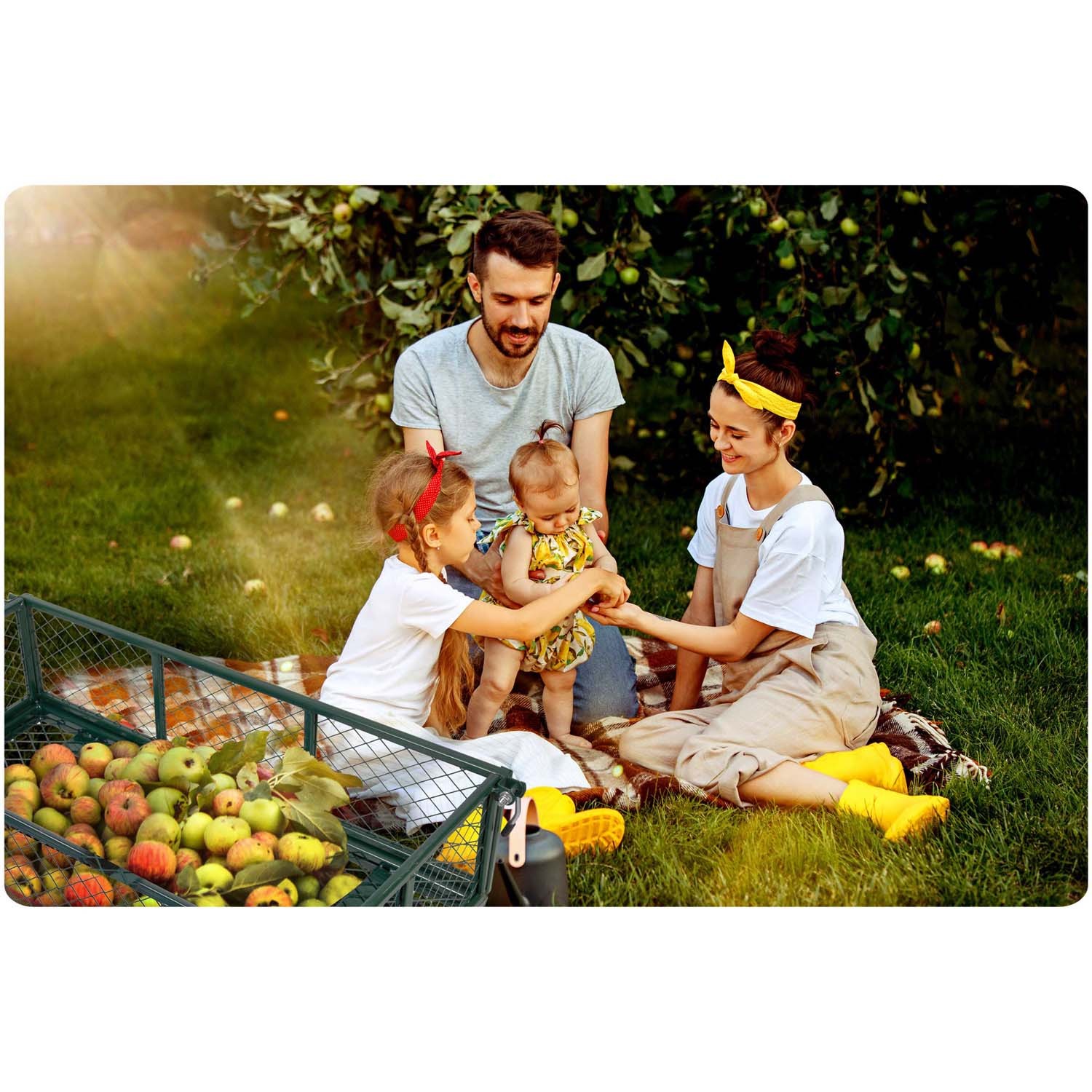 Humberg HM-509 100l aia kallutatav käru - Image 14