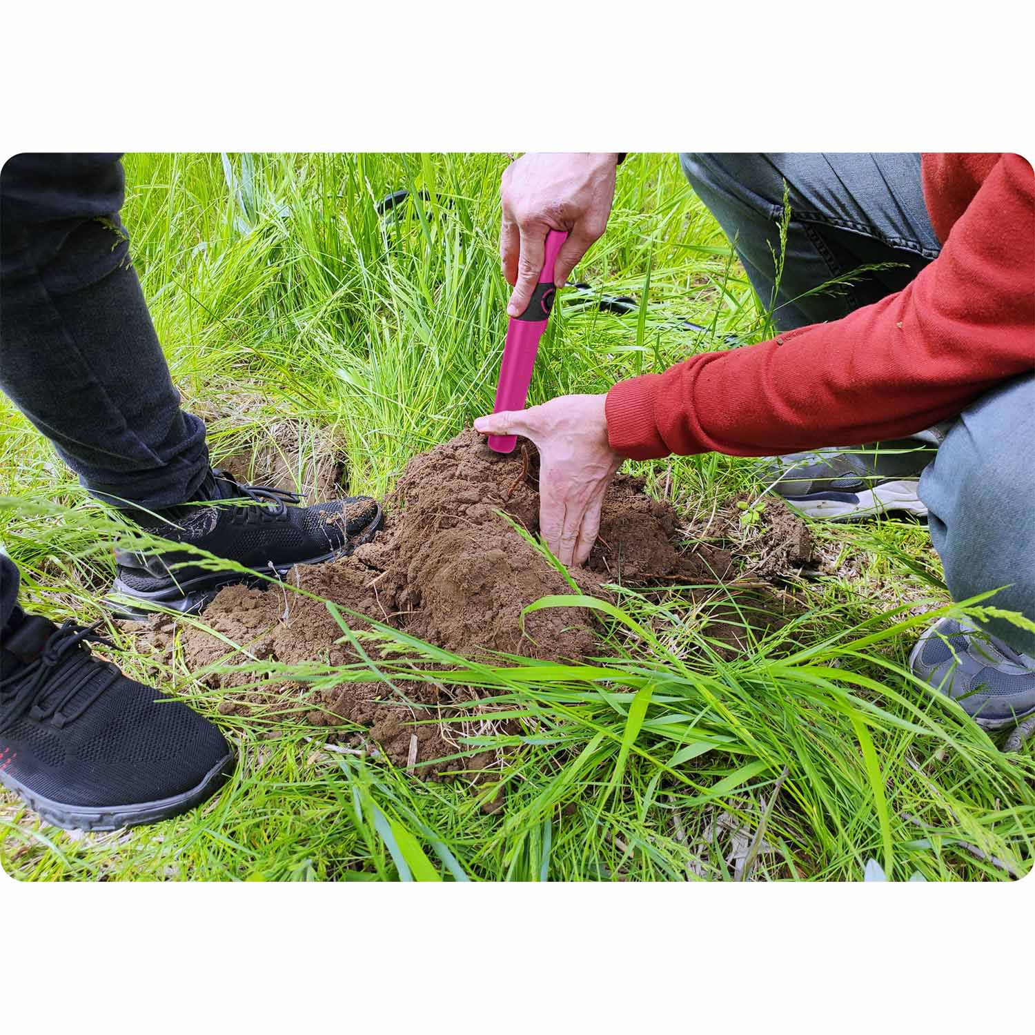 Pinpointer Cobra Tector CT-1079 metallidetektor - Image 13