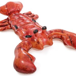 Homaari ujumismänguasi 213 x 137 cm INTEX 57533