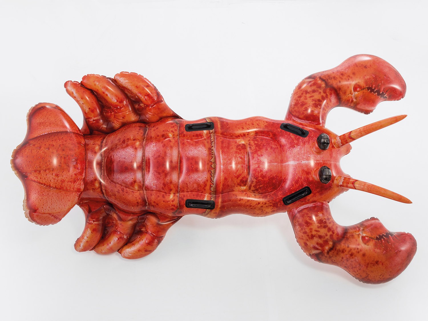 Homaari ujumismänguasi 213 x 137 cm INTEX 57533 - Image 4