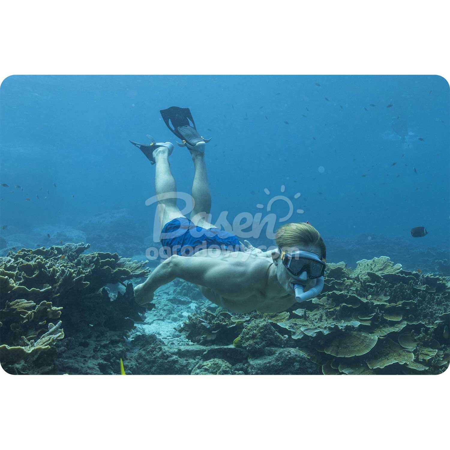 Bestway 25020 must sukeldumiskomplekt - Image 5